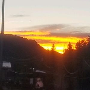 Meet your Posher, Mackenzie